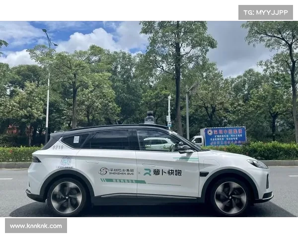 从“萝卜快跑”看武汉出租车市场的危机与创新之路 从“萝卜快跑”看武汉出租车市场的危机与创新之路