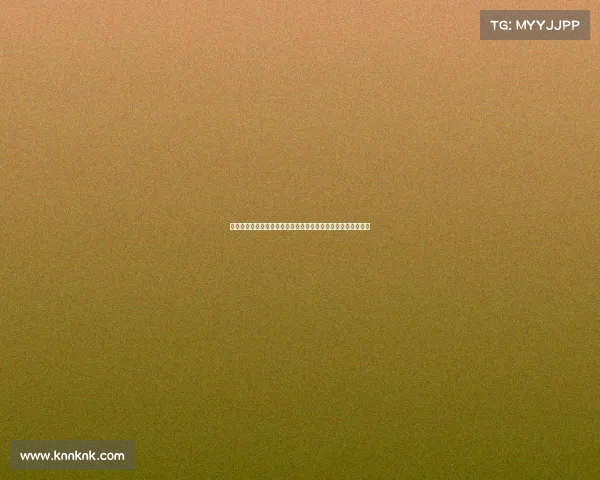 援助成交易工具:乌克兰军队将美国武器转卖黑市赚取非法收入